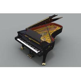 Huge Clothing Collection